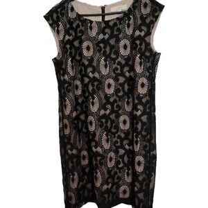 Loft black lace overlay sleeveless dress SZ 8